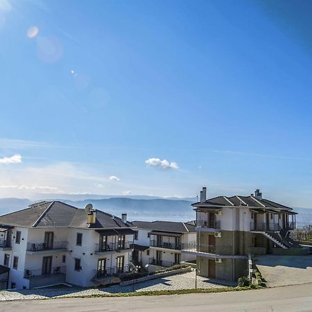 Amfithea Hotel Ioannina Exterior foto